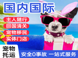 惠州空运代理国际宠物托运 【国